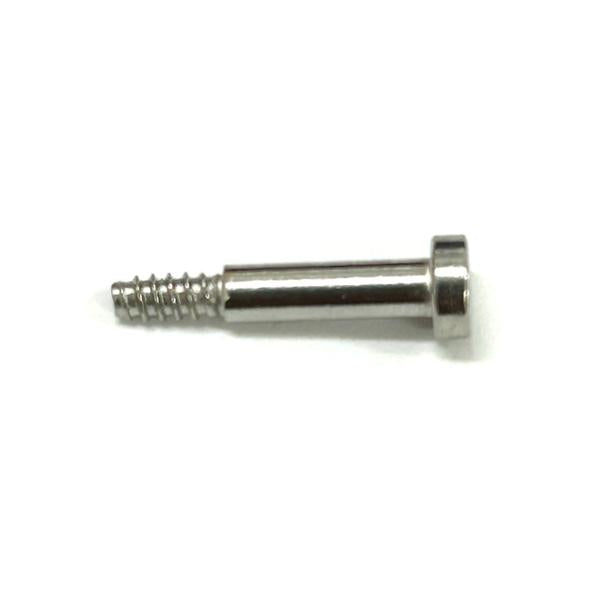 GSTB100D Band Screw - 10502723 - 1 week order